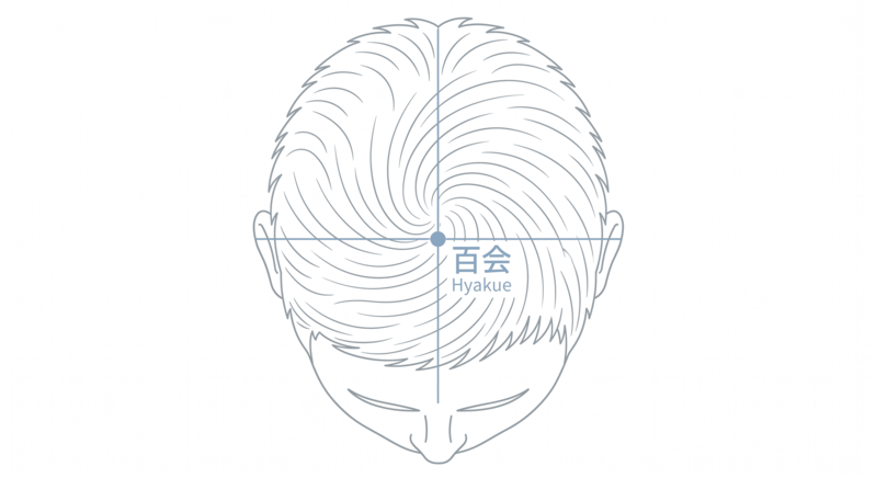 百会